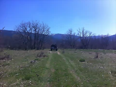 IMG_1142 IMG_1142
