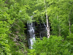 IMG_7583 IMG_7583