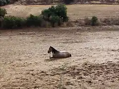 ajena al problema