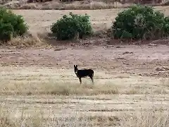 ajeno al problema