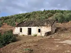 cortijo de gorila