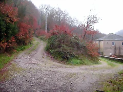 DSCN1014 DSCN1014
