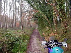 DSCN1015 DSCN1015