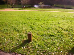 DSCN1096