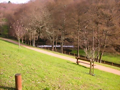 DSCN1097