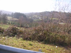 DSCN1025 DSCN1025