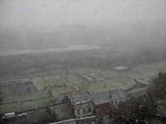 DSCN0961 DSCN0961