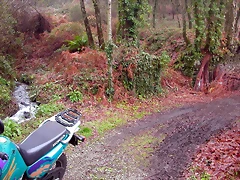 DSCN1013 DSCN1013