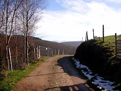 DSCN1064 DSCN1064