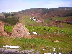 DSCN1052 DSCN1052