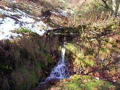 DSCN1059 DSCN1059