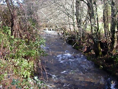DSCN1078 DSCN1078