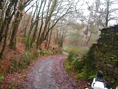 DSCN1018 DSCN1018