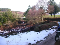 DSCN1032 DSCN1032