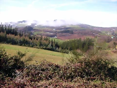 DSCN1043 DSCN1043