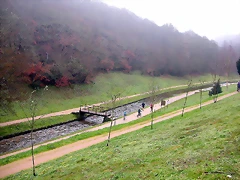 DSCN0994 DSCN0994