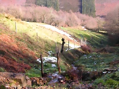 DSCN1060 DSCN1060