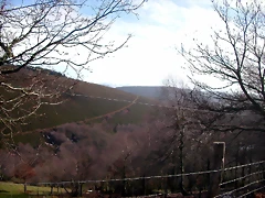 DSCN1065 DSCN1065
