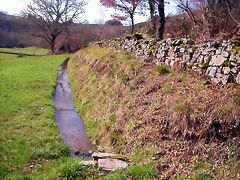 DSCN1087