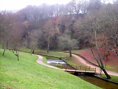DSCN0998 DSCN0998