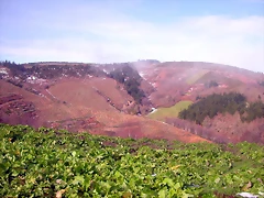 DSCN1054 DSCN1054