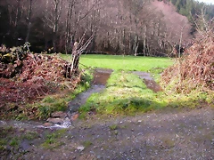 DSCN1074 DSCN1074