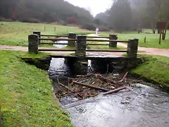 DSCN1005 DSCN1005