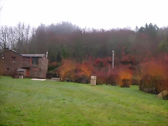 DSCN1007 DSCN1007