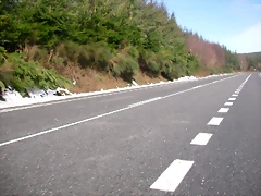 DSCN1028 DSCN1028