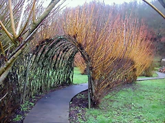 DSCN1008 DSCN1008