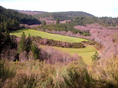 DSCN1073 DSCN1073
