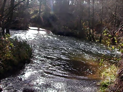 DSCN1076 DSCN1076