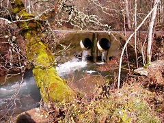 DSCN1080 DSCN1080