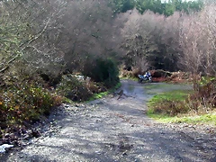 DSCN1081 DSCN1081