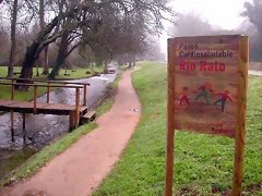 DSCN0982 DSCN0982