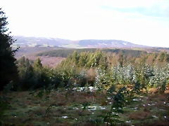 DSCN1082 DSCN1082