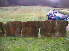 DSCN1010 DSCN1010