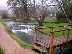 DSCN0984 DSCN0984
