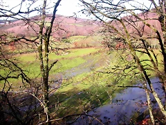 DSCN1070 DSCN1070