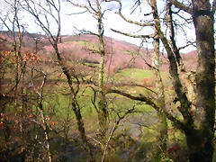 DSCN1069 DSCN1069