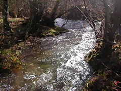 DSCN1077 DSCN1077