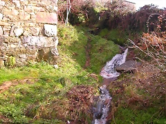 DSCN1084