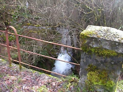 DSCN1085