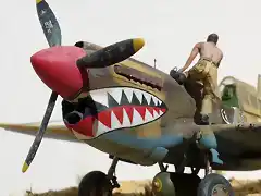 P-40M 006