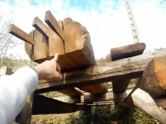 DSCN3173 DSCN3173