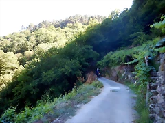 DSCN4204 DSCN4204