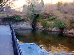 DSCN4075 DSCN4075
