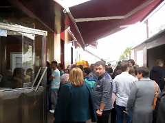 IMG_1713 IMG_1713