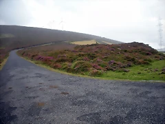 DSCN8427 DSCN8427