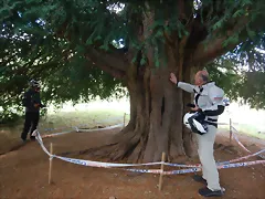 DSCN3522 DSCN3522